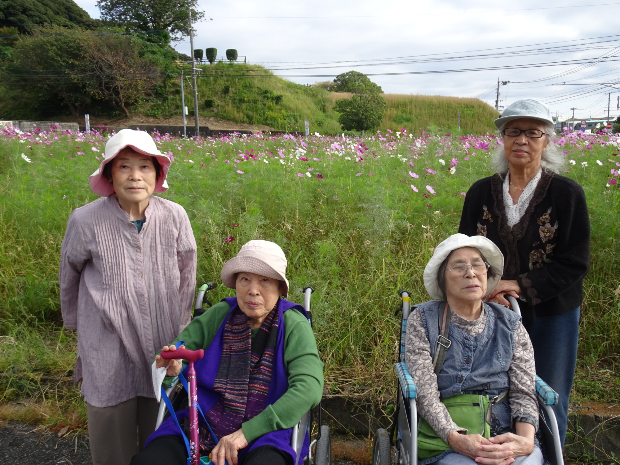 コスモス畑の前で撮った写真