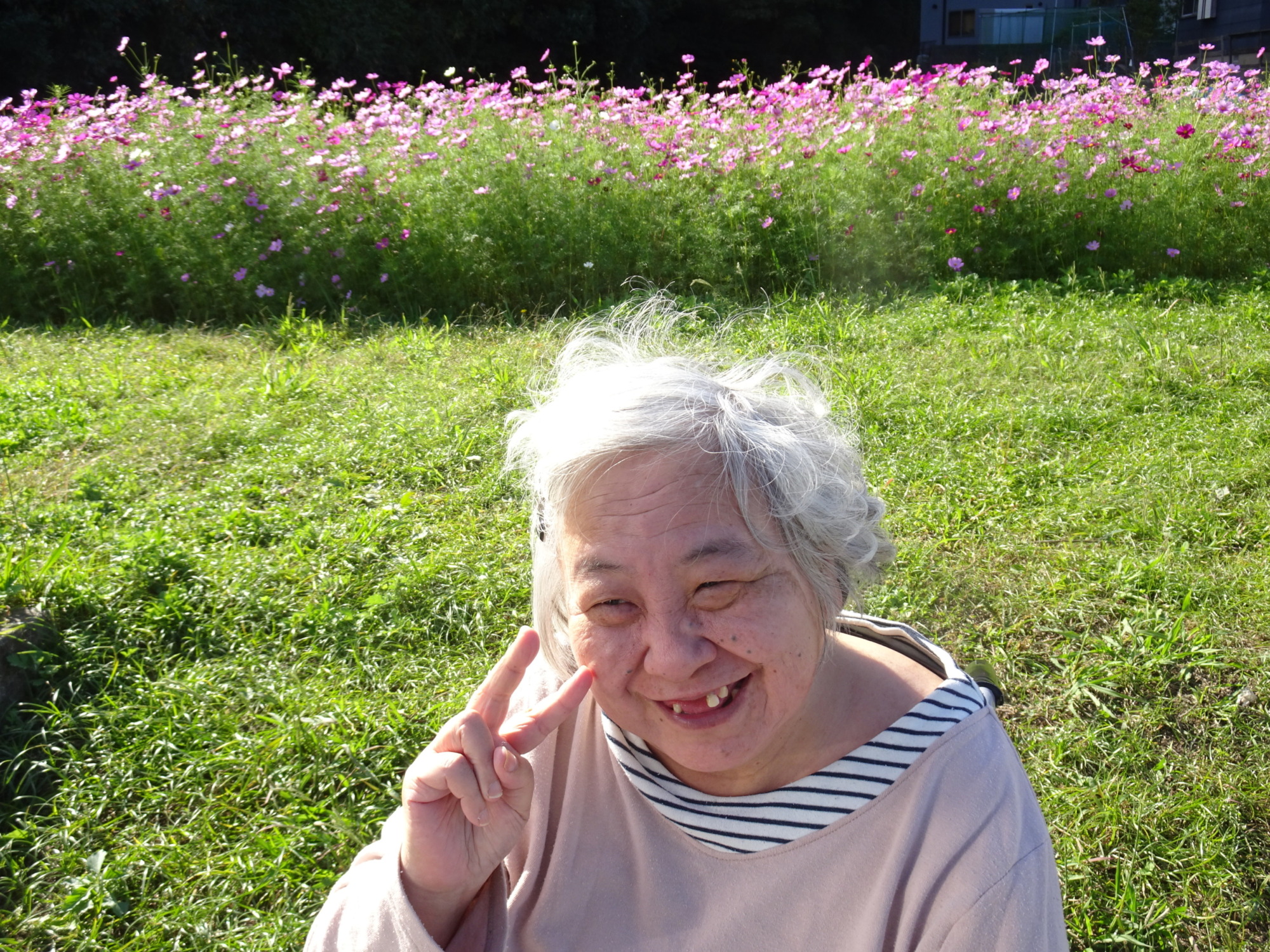 コスモス畑の前で笑顔を見せる利用者さん