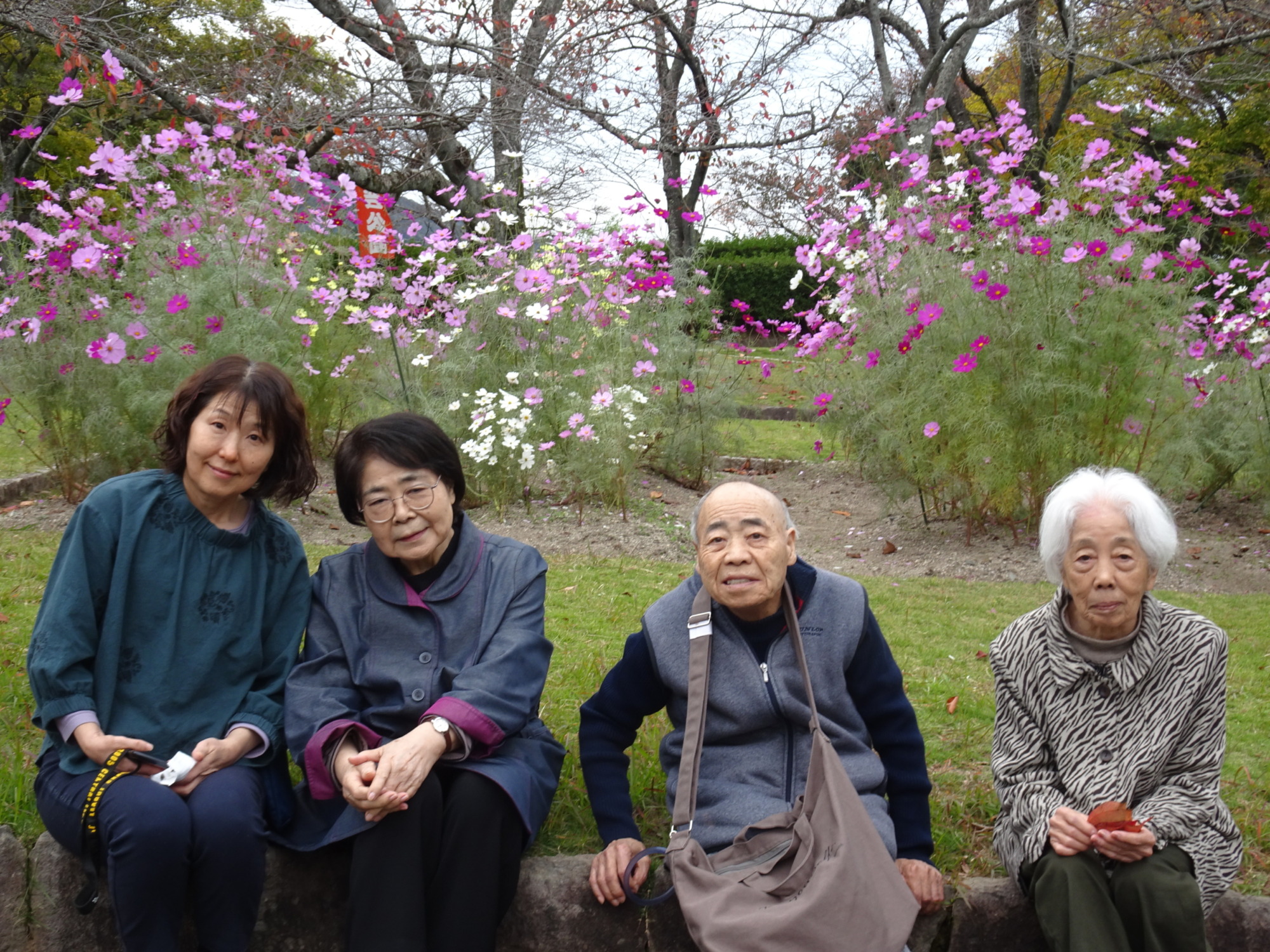 コスモスの前で撮った集合写真