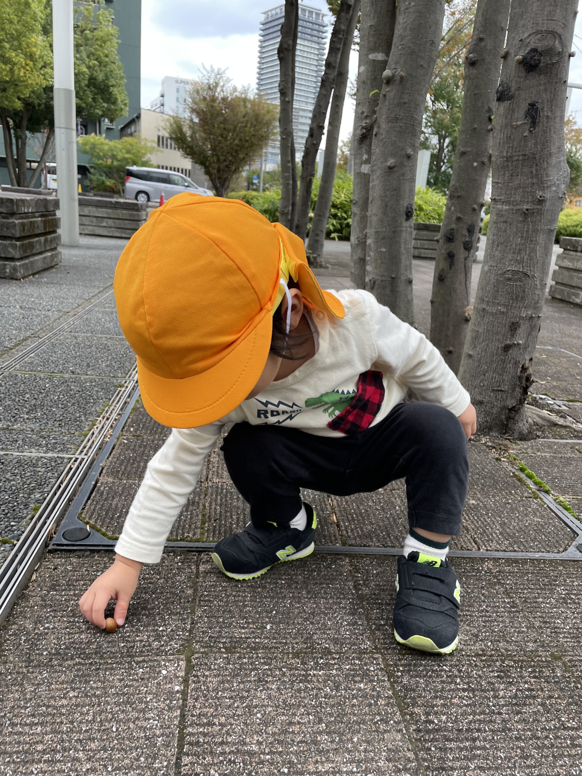 どんぐりを拾っている様子