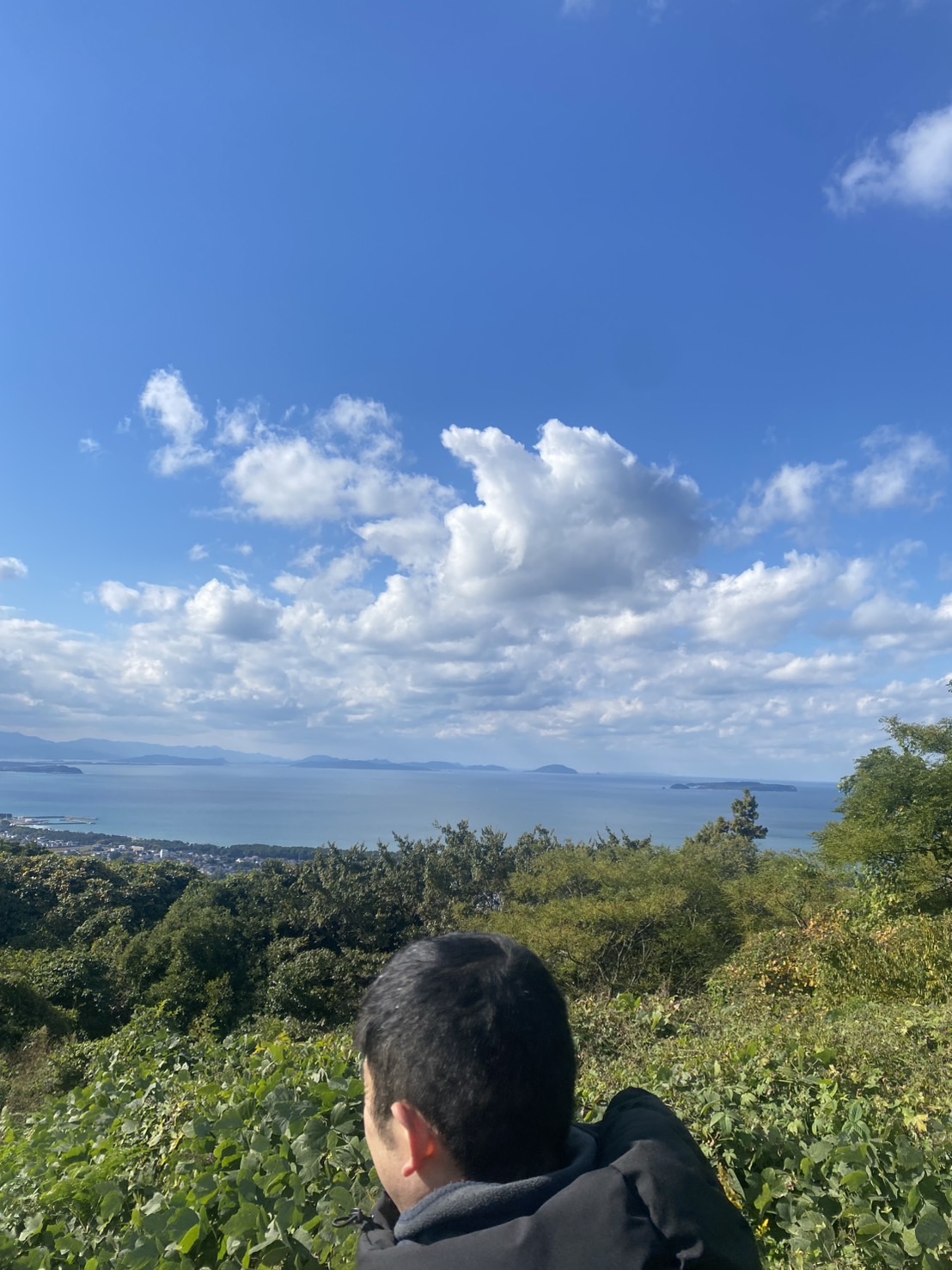 宮地嶽神社の裏山散策で海を眺めるご利用者