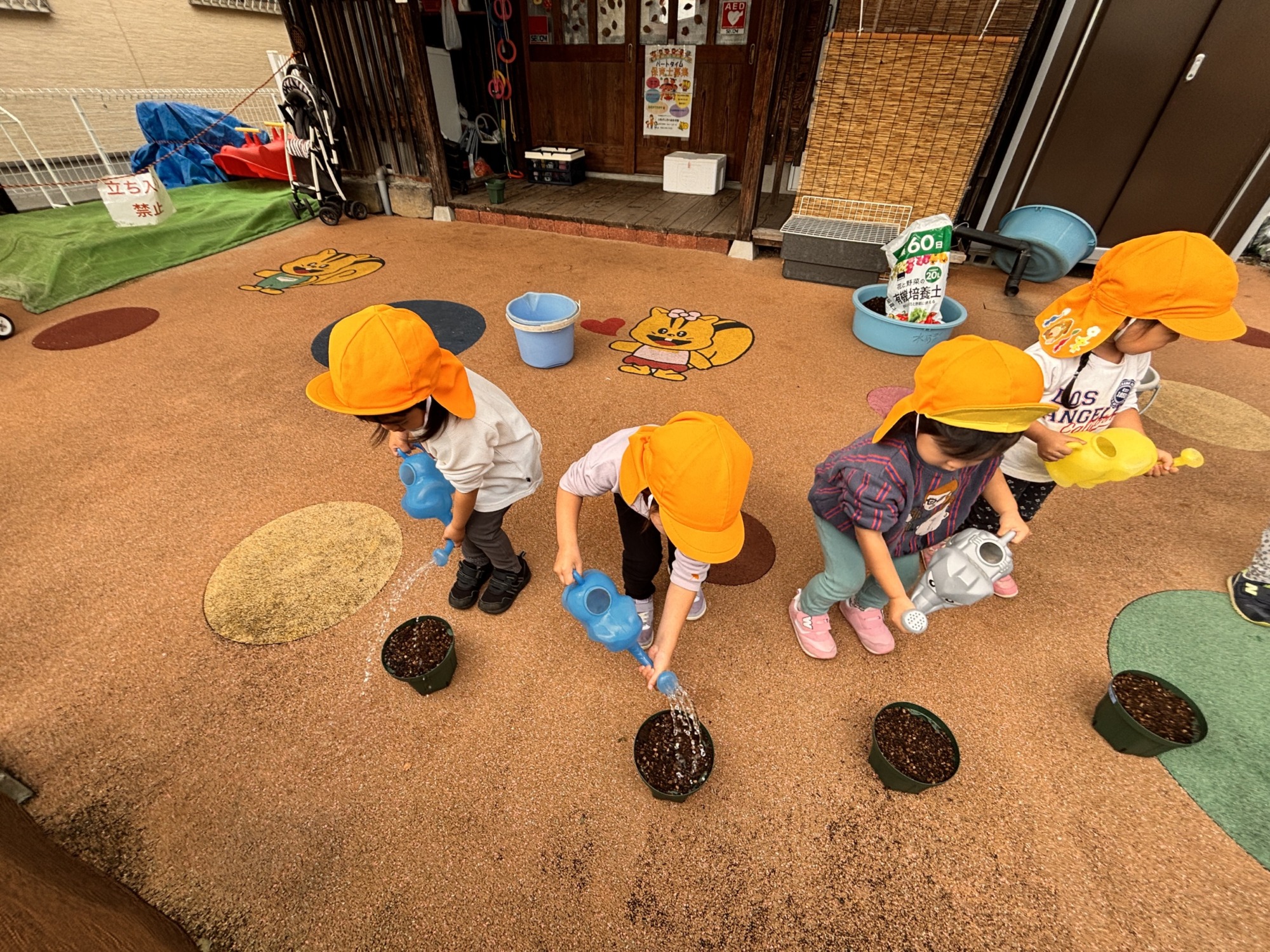 丁寧に水をかけます
