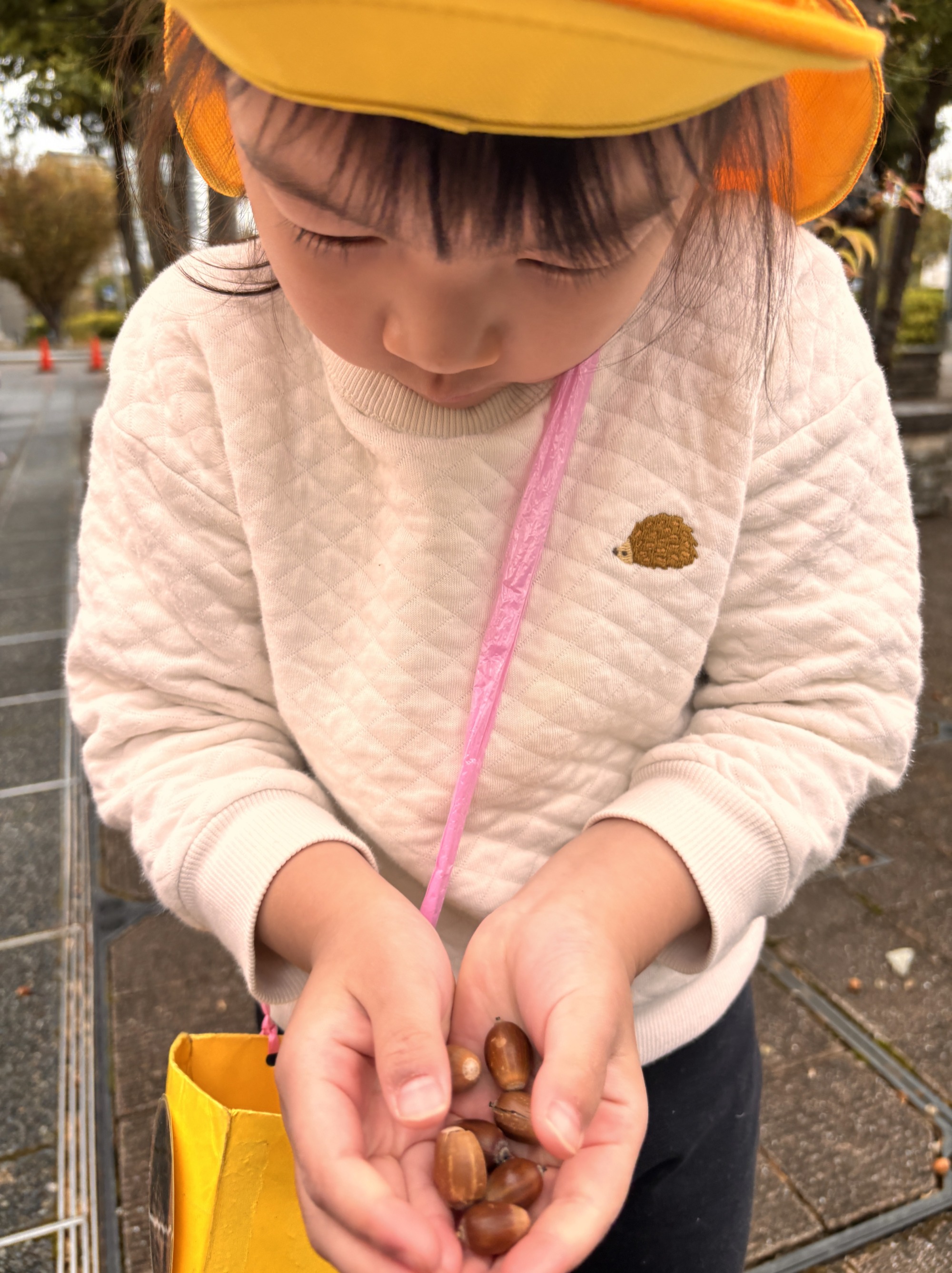 手にいっぱいのどんぐりを持って先生に見せている様子