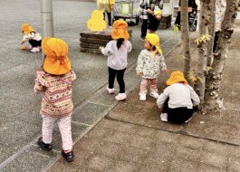 みんなでどんぐりを拾っている様子