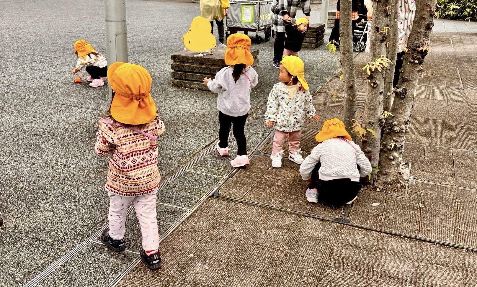 みんなでどんぐりを拾っている様子