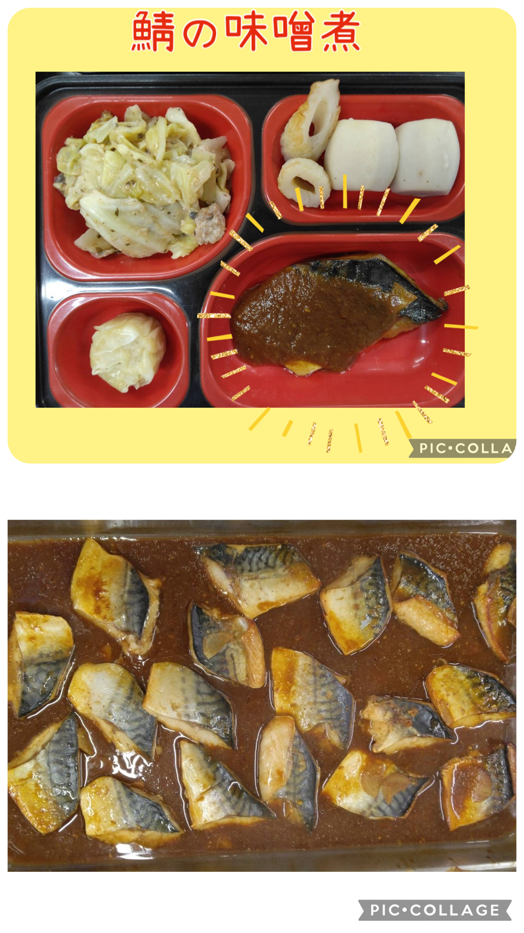 お弁当(鯖の味噌煮、キャベツと豚肉の梅胡麻炒め、里芋の含め煮、しゅうまい)と鯖の味噌煮の写真