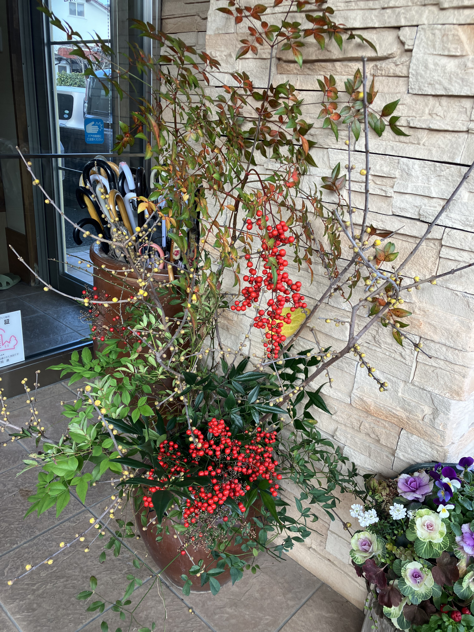 玄関外の正月飾り（花）