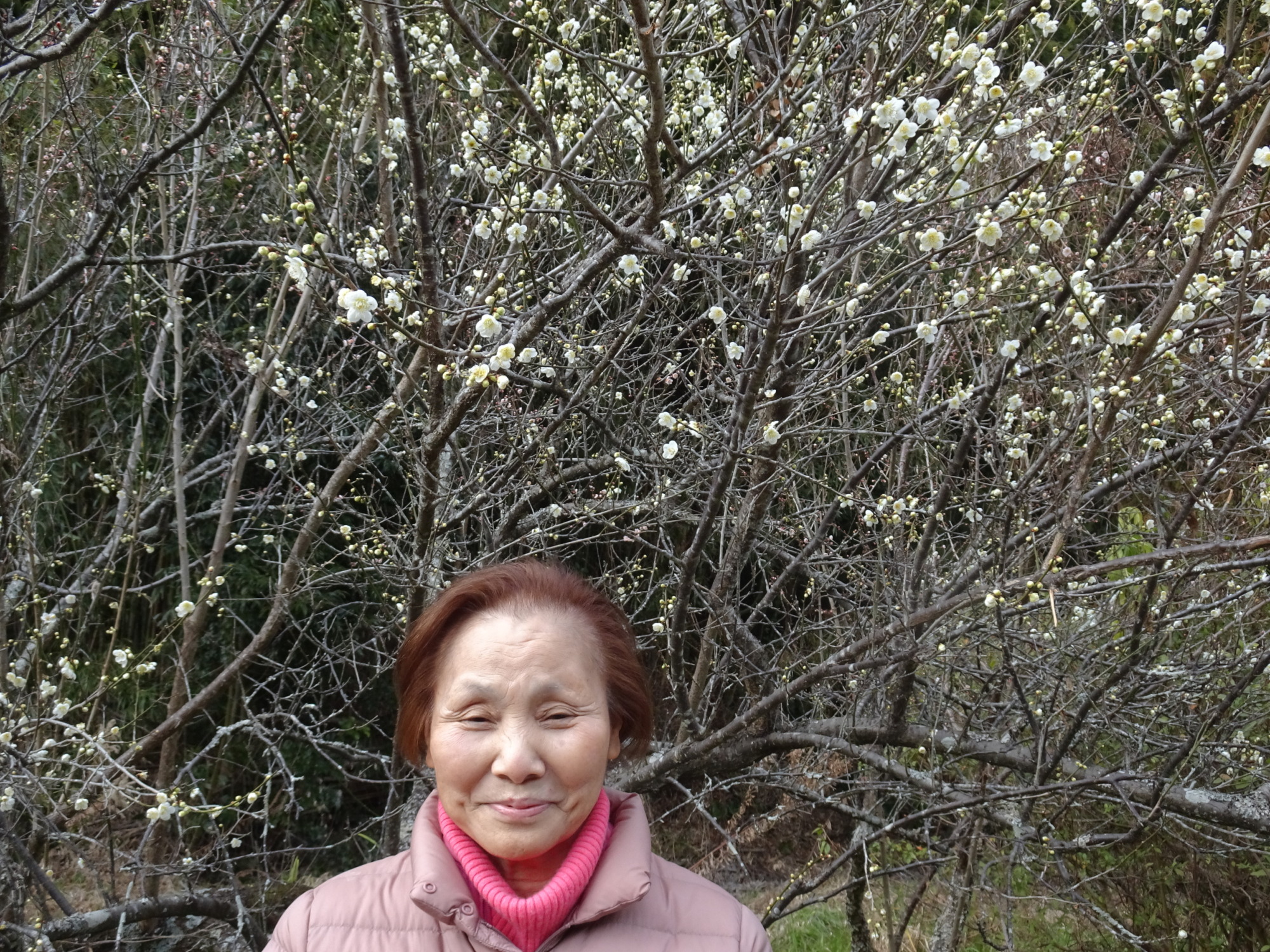 梅の花の前で撮った利用者さんの写真