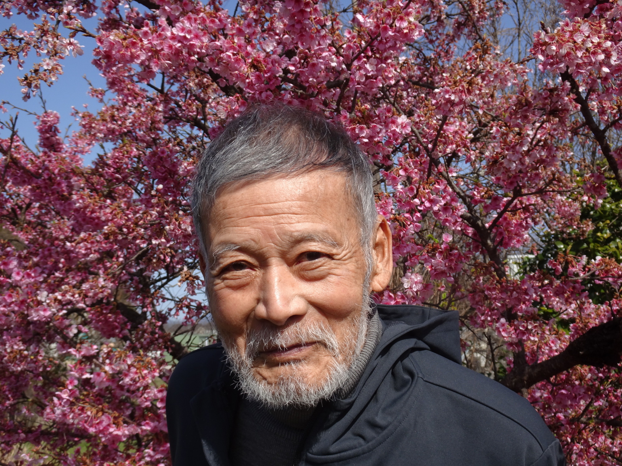 河津桜の前で撮った男性利用者さんの写真