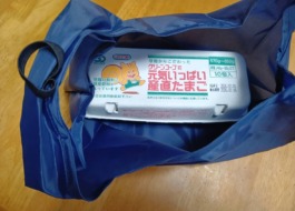 たまごパックもちょうど入っている写真