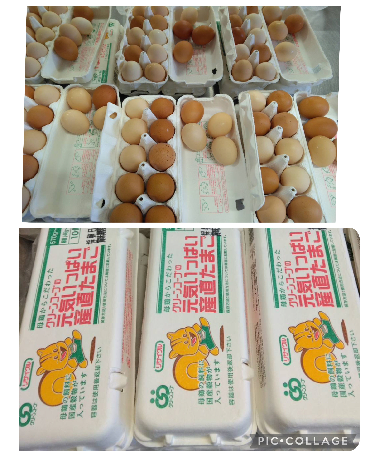 グリーンコープの元気いっぱい産直たまごの写真