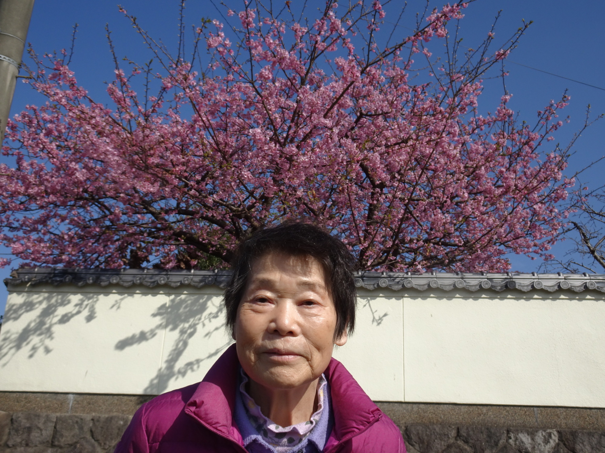 桜の前で撮った利用者さん
