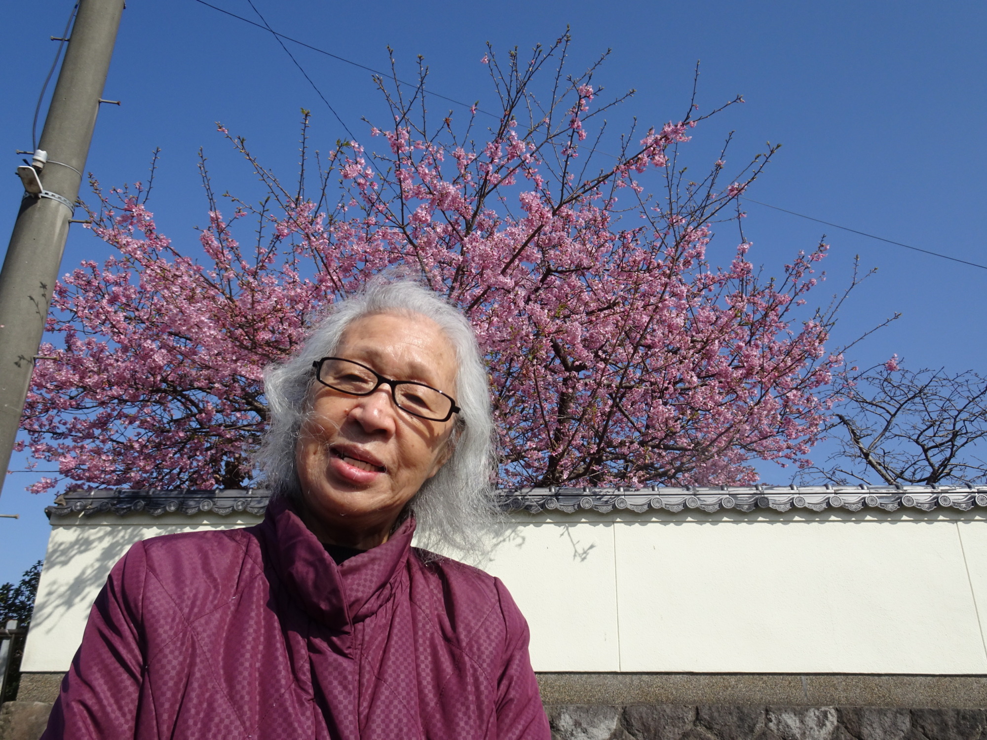 桜の前で撮った利用者さん