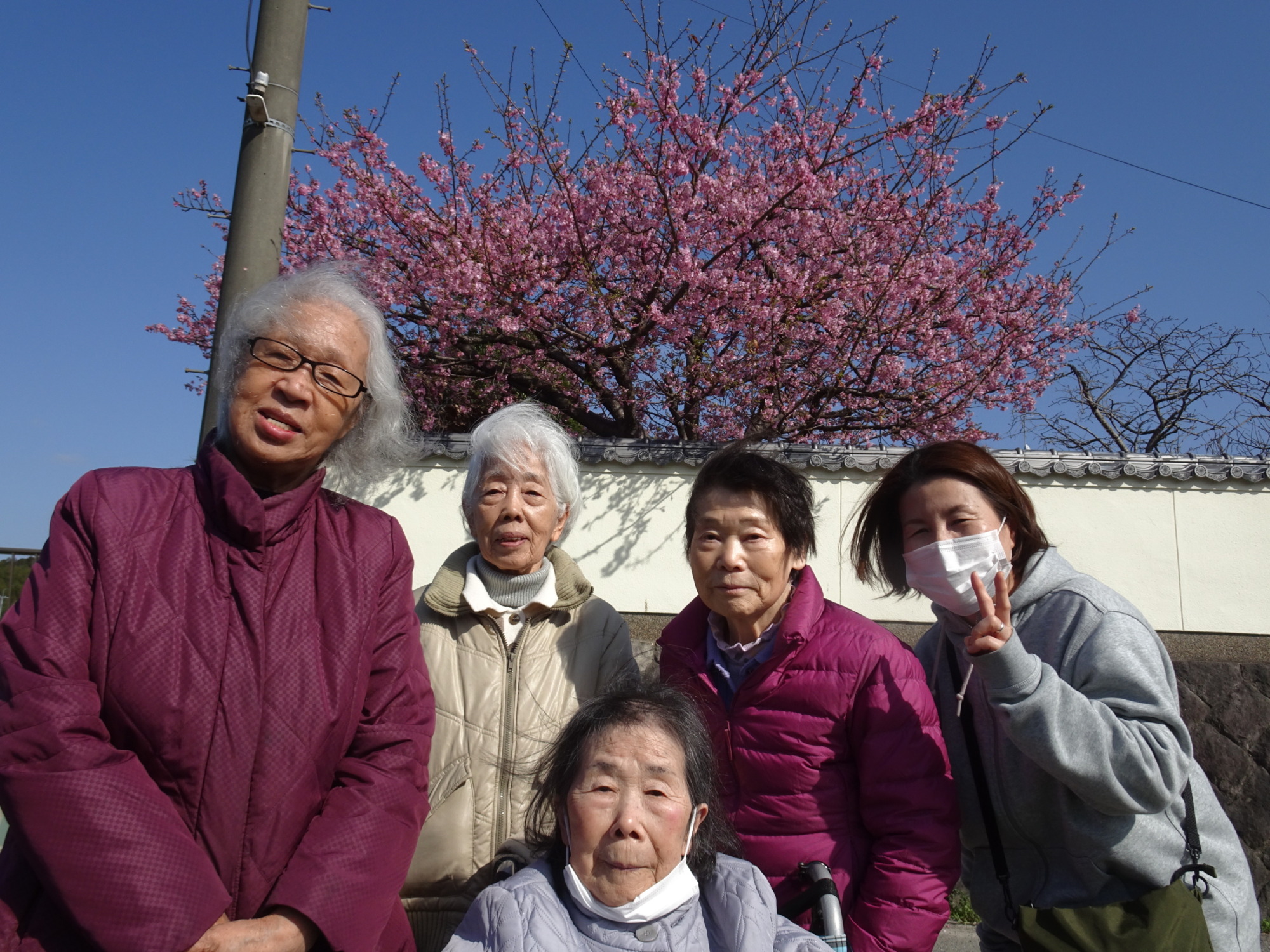 桜の前で撮った集合写真