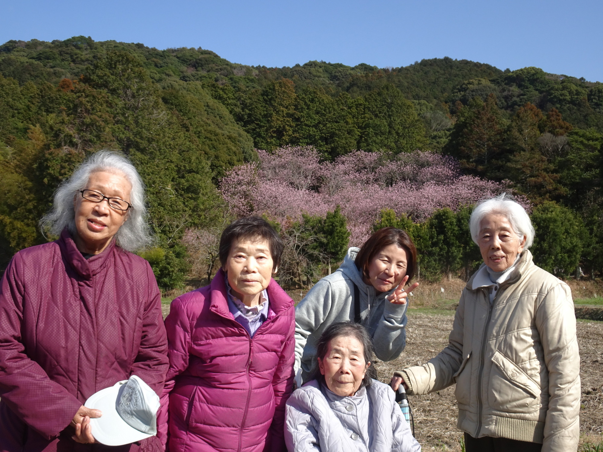 大きな桜をバックにとった集合写真