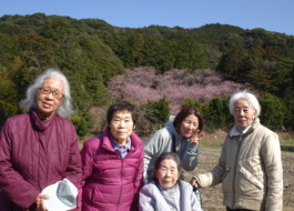 大きな桜をバックにとった集合写真