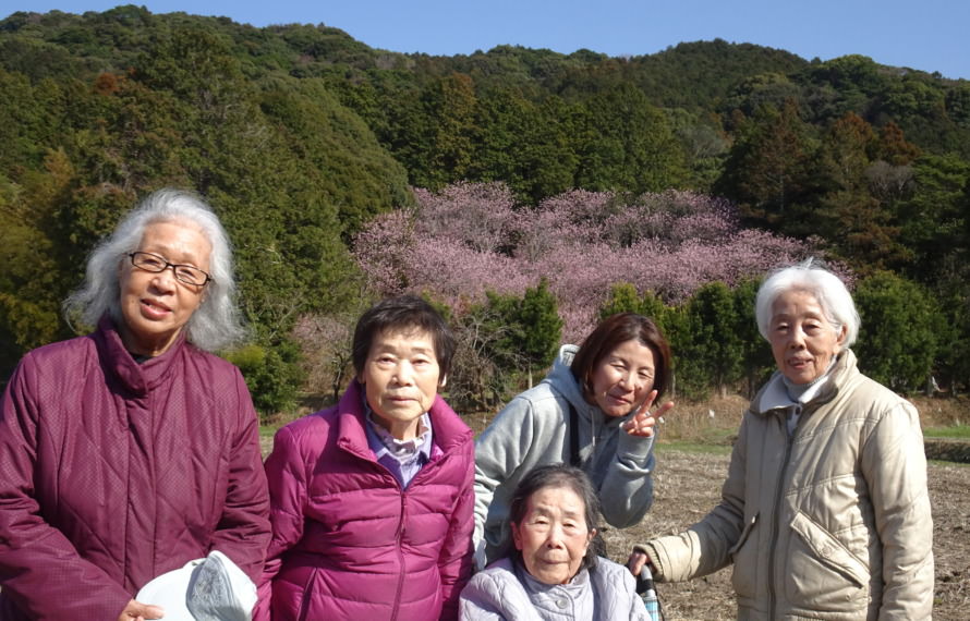 大きな桜をバックにとった集合写真