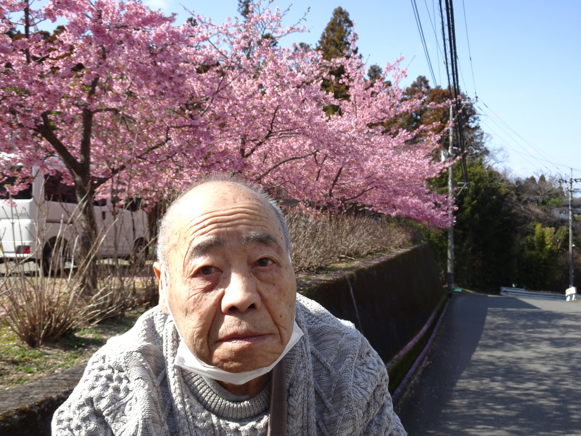 桜の前で撮った写真