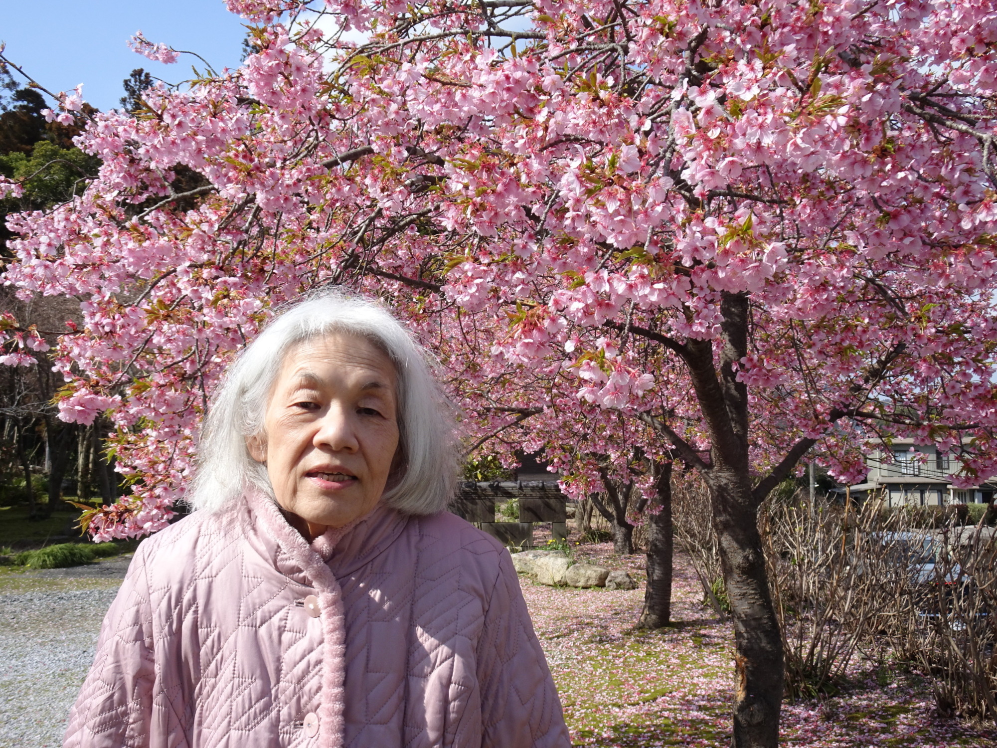 桜の前で撮った写真