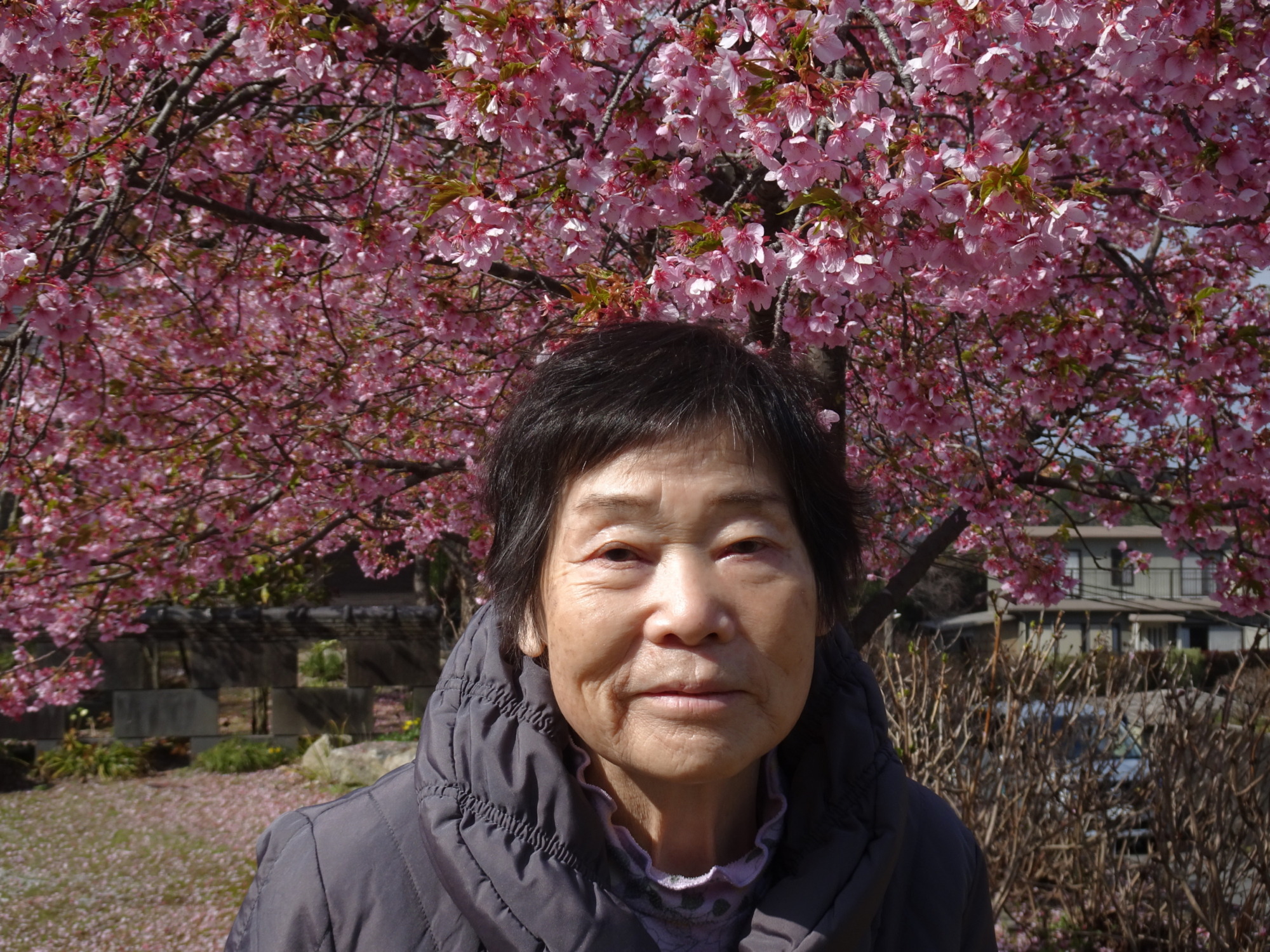 桜の前で撮った写真