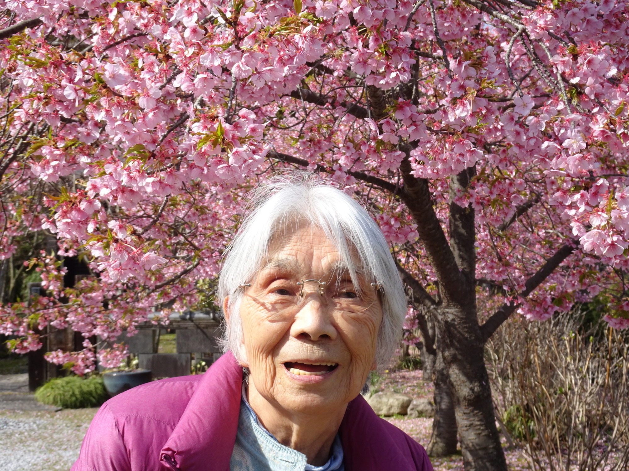 桜の前で撮った写真