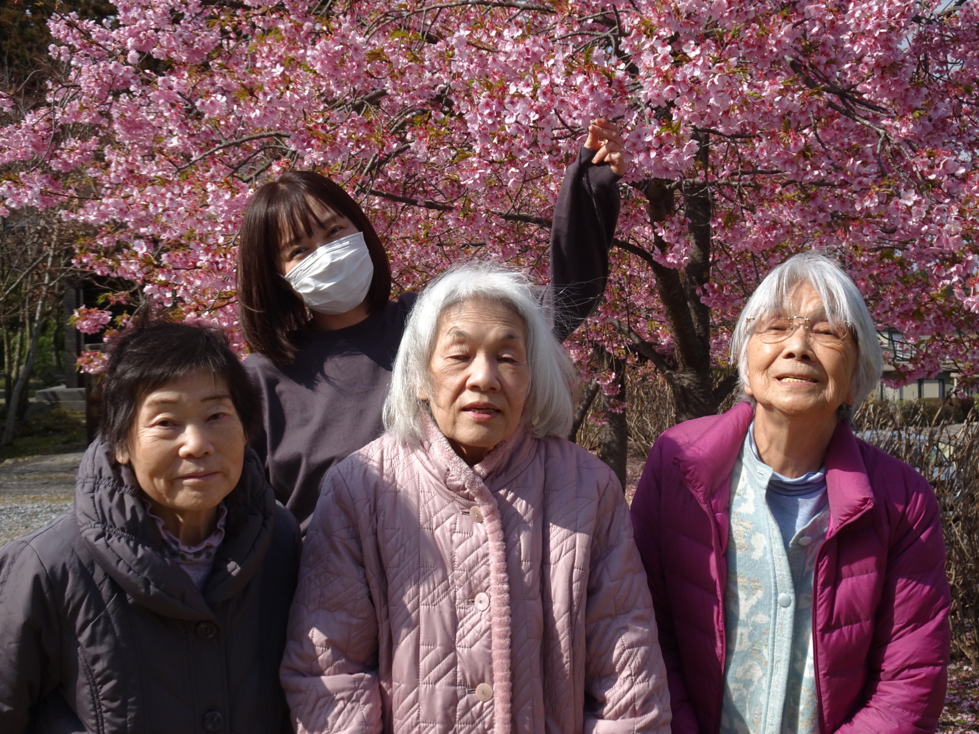 桜の前で撮った利用者さんたちとワーカーの写真