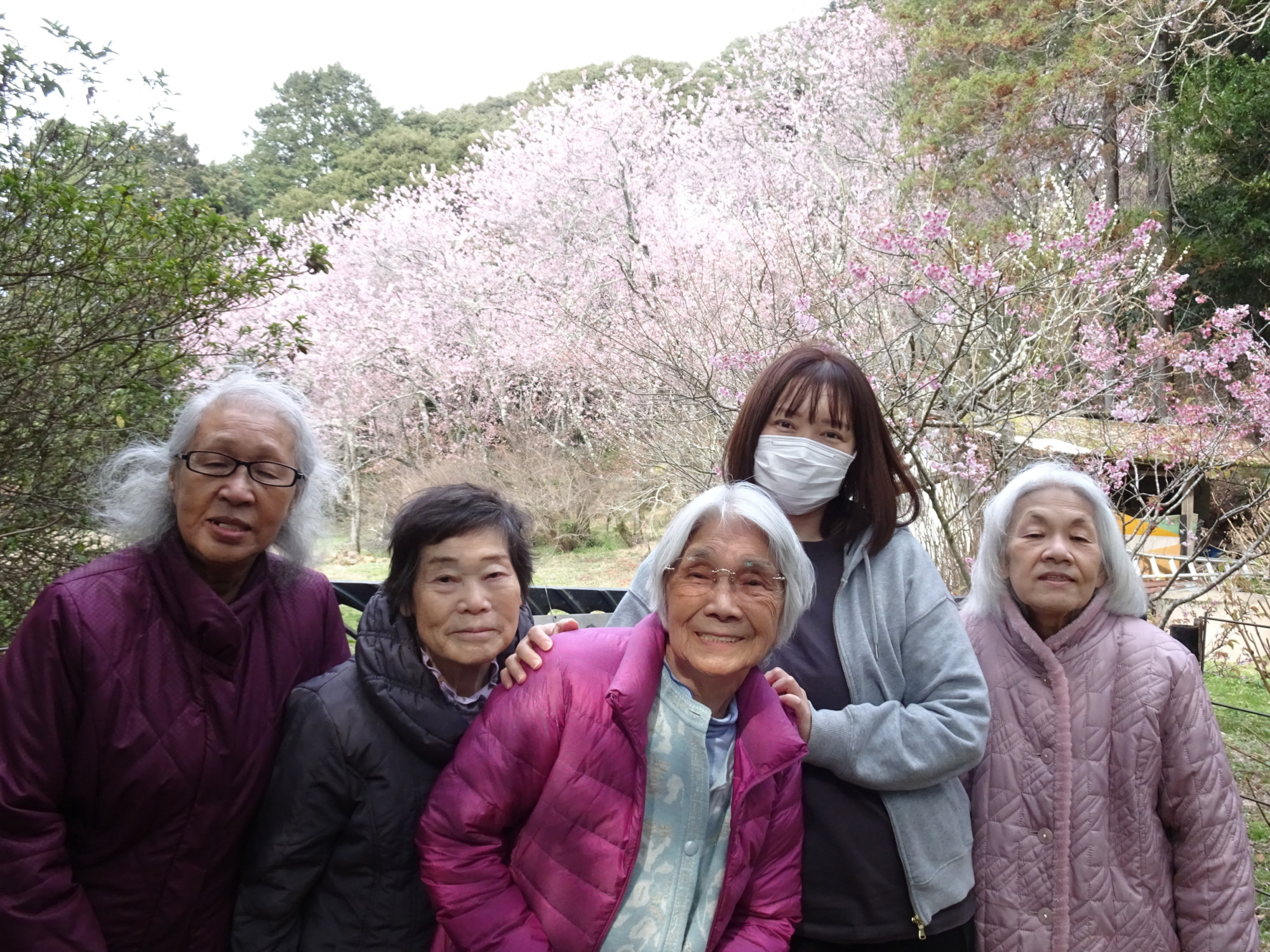 桜の前で撮った利用者さんたちとワーカーの写真