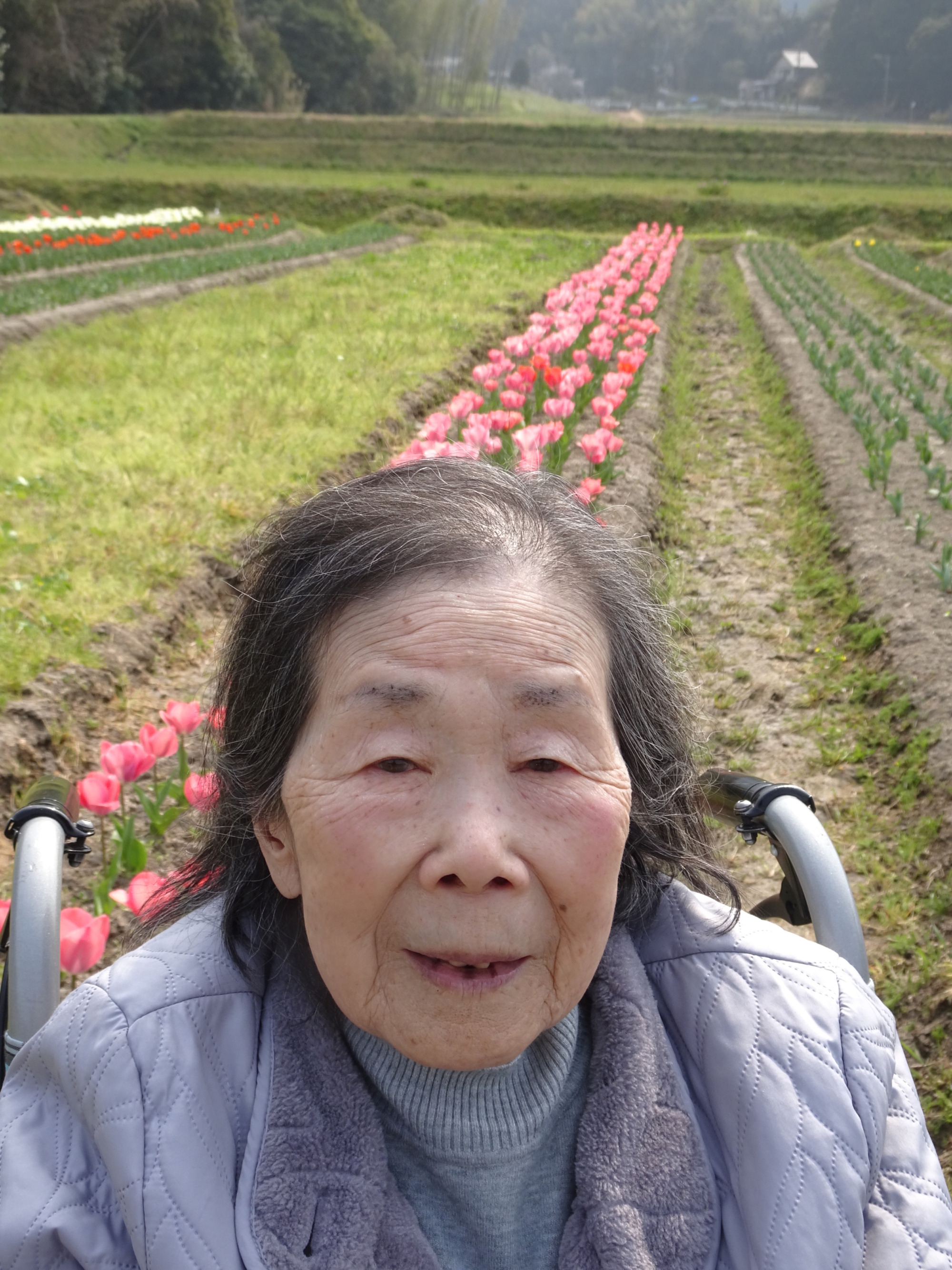 チューリップと一緒に写真を撮る利用者さん