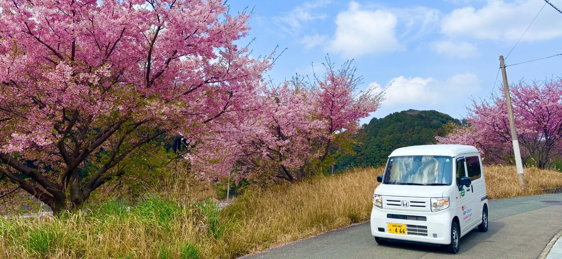 河津桜とみんなのキッチンふくつの配送車の写真