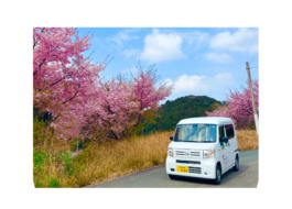 河津桜とみんなのキッチンふくつの配送車の写真