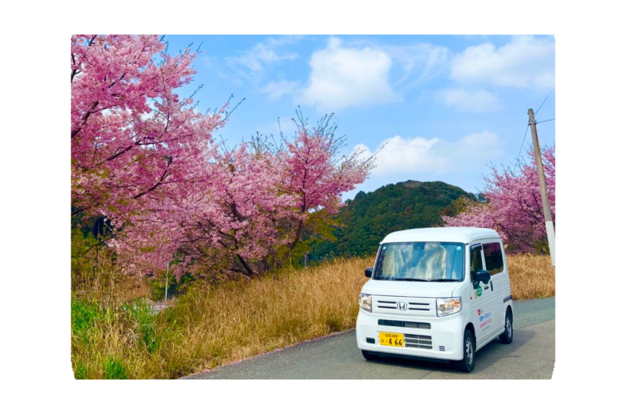 河津桜とみんなのキッチンふくつの配送車の写真