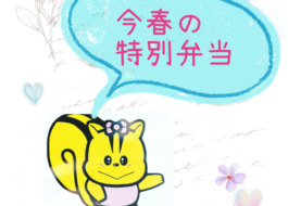 今春の特別弁当