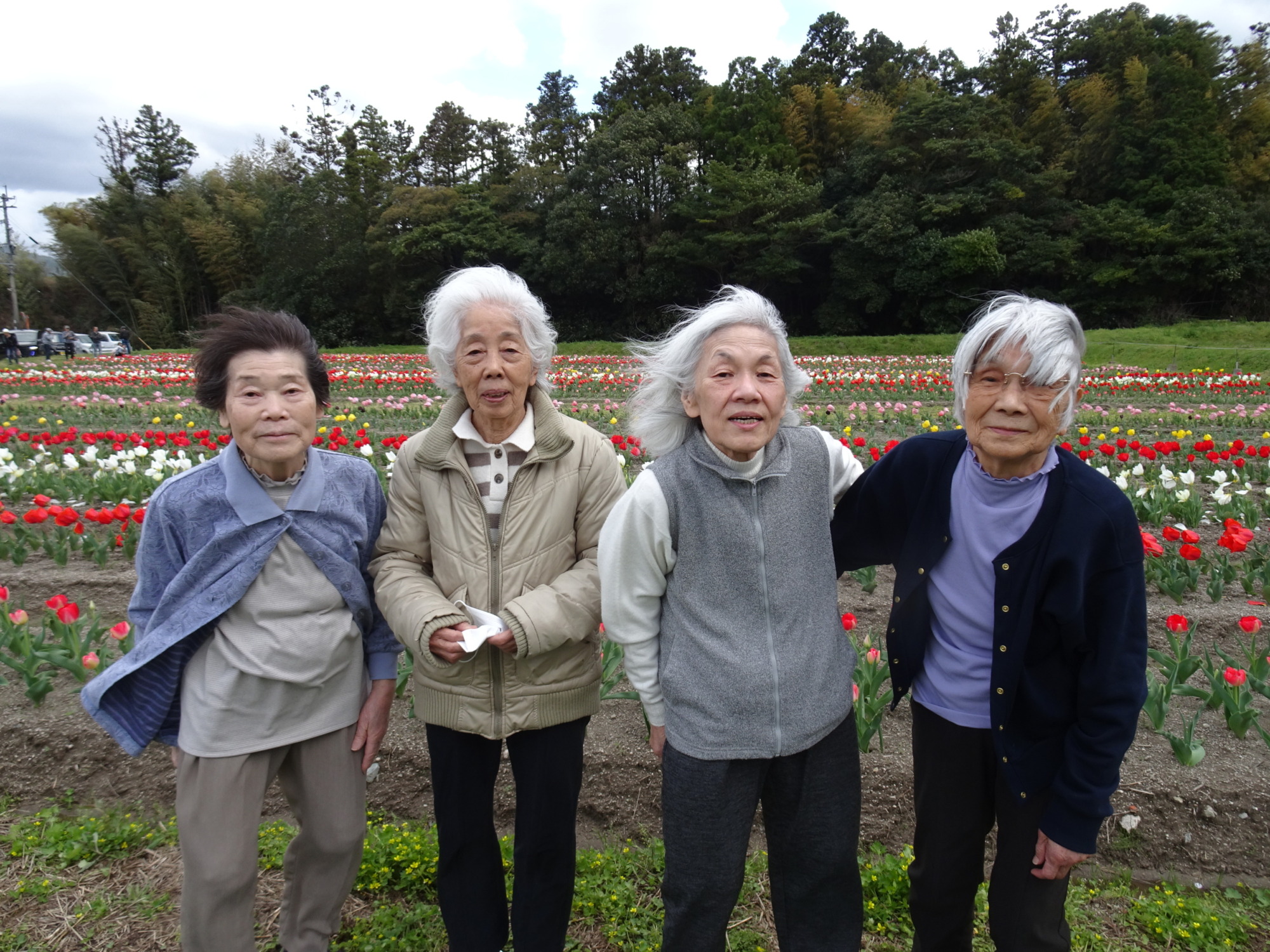 チューリップ畑の前で撮った利用者さんたちの写真