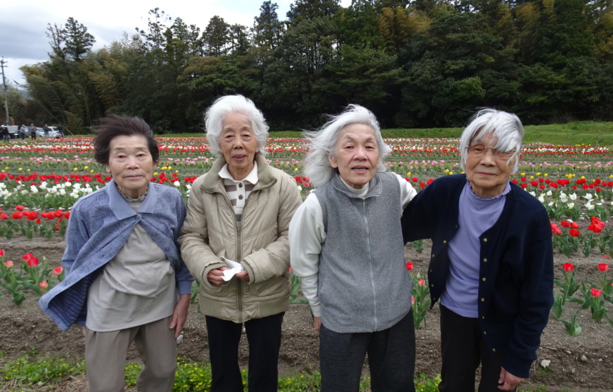 チューリップ畑の前で撮った利用者さんたちの写真