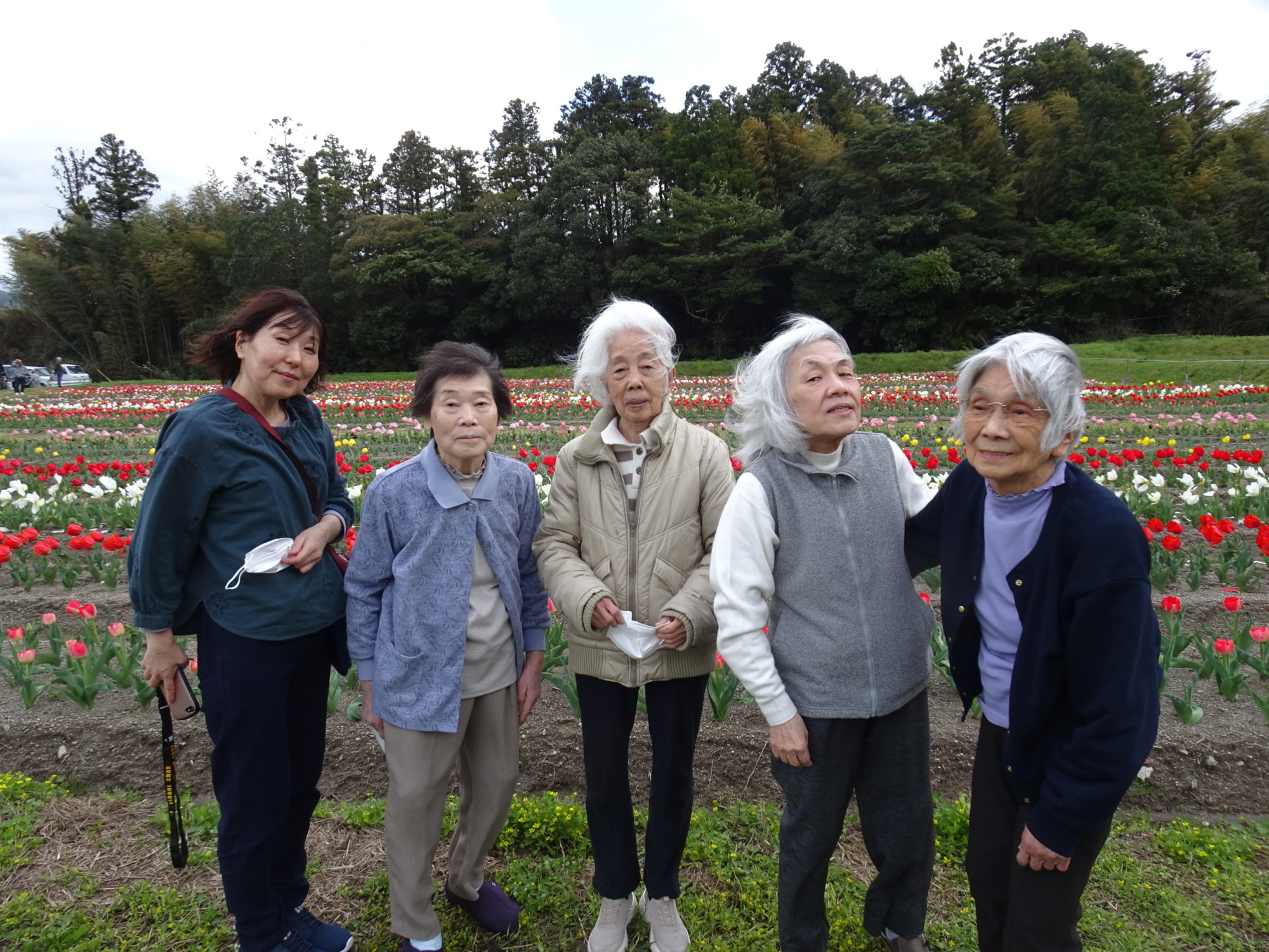 チューリップ畑で撮った利用者さんたちとワーカーの写真