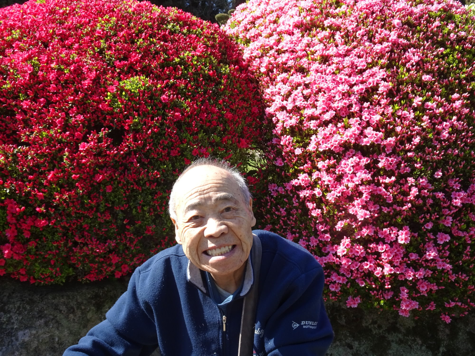赤とピンクのツツジの前で撮った利用者さんの写真