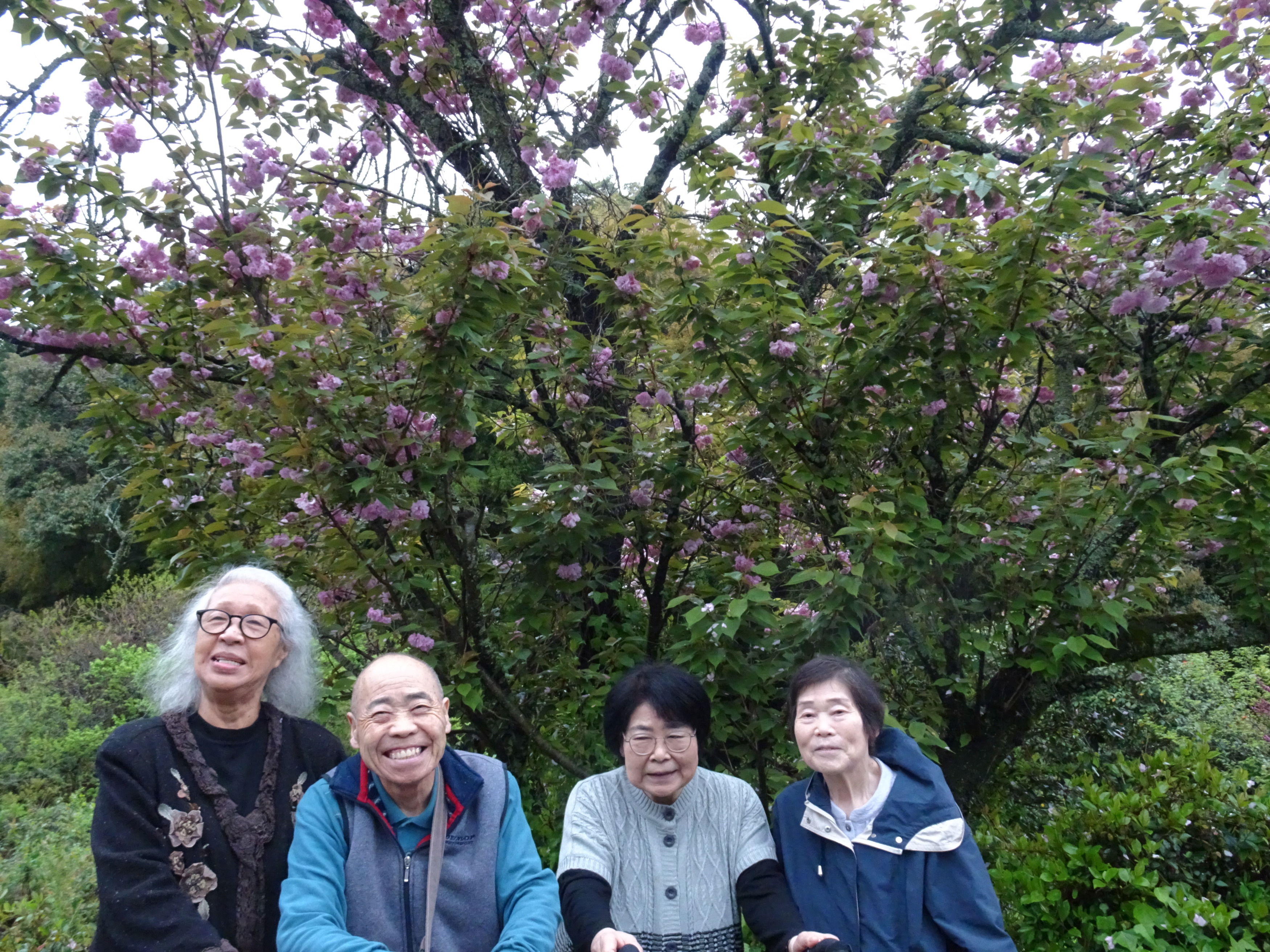 花の前で撮った利用者さんたちの集合写真