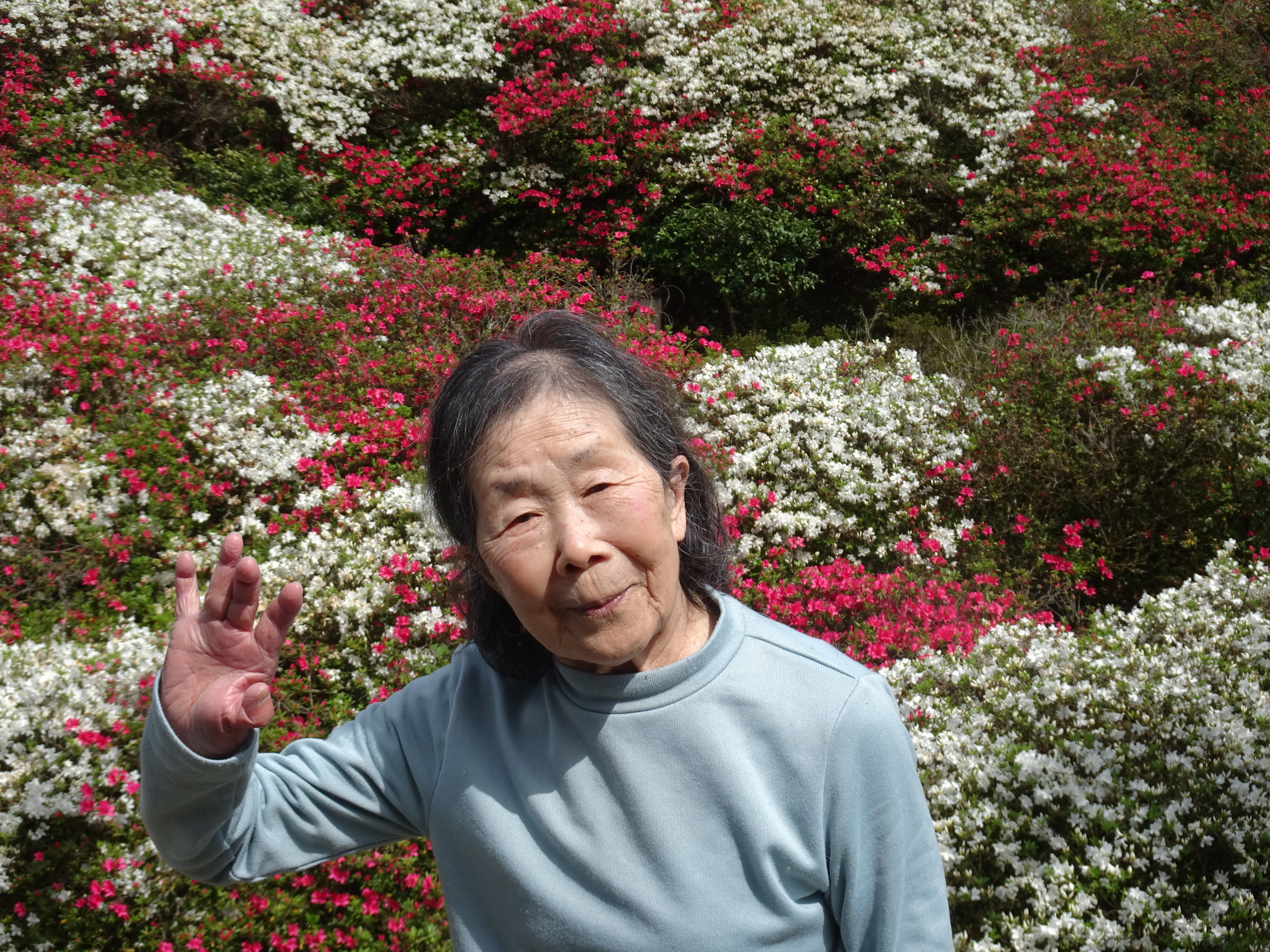 赤や白のツツジをバックに撮った利用者さんの写真