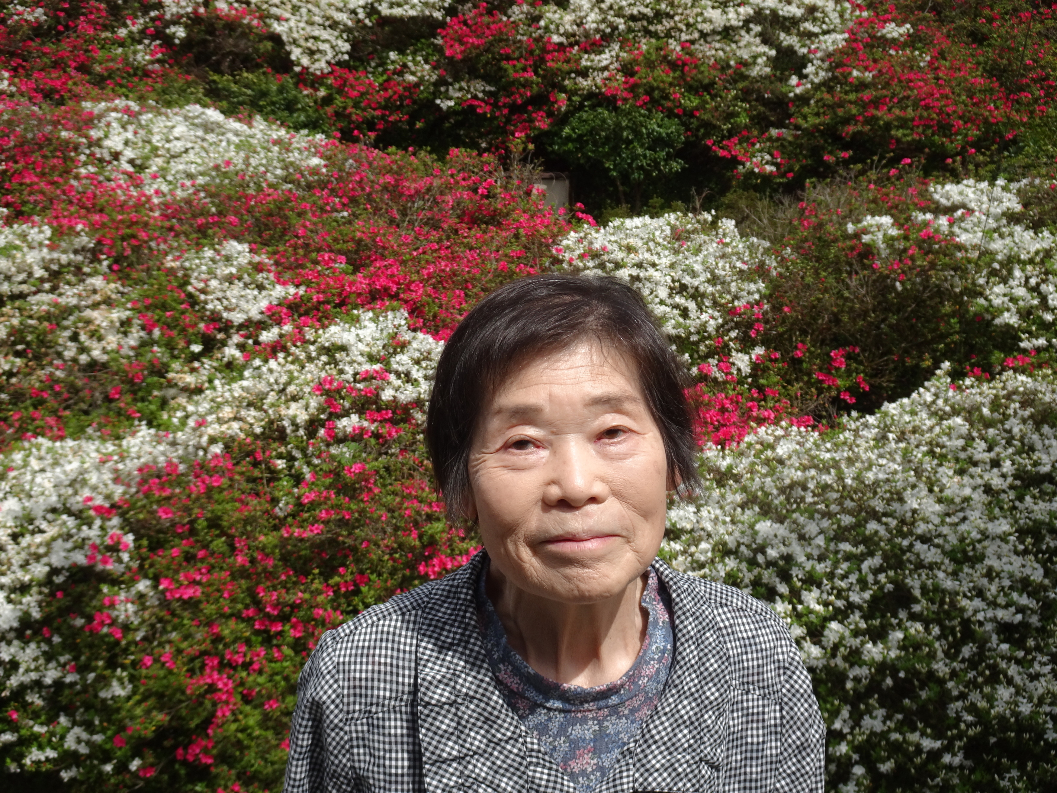 赤白ピンクのツツジがたくさん咲いてる前で撮った利用者さんの写真