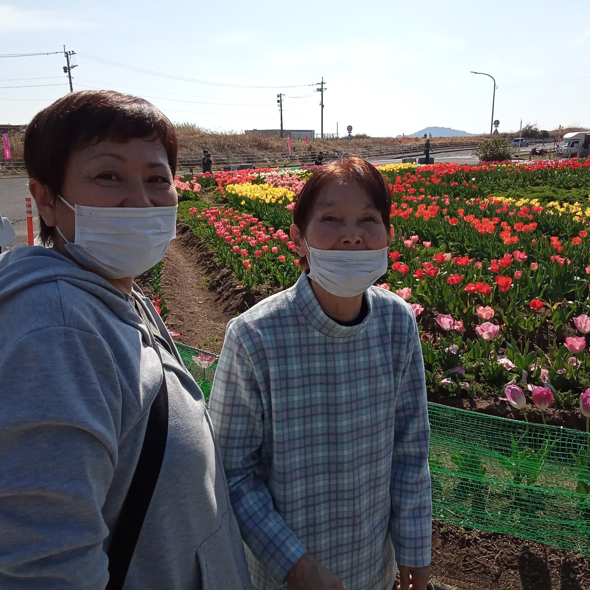 チューリップ祭り6