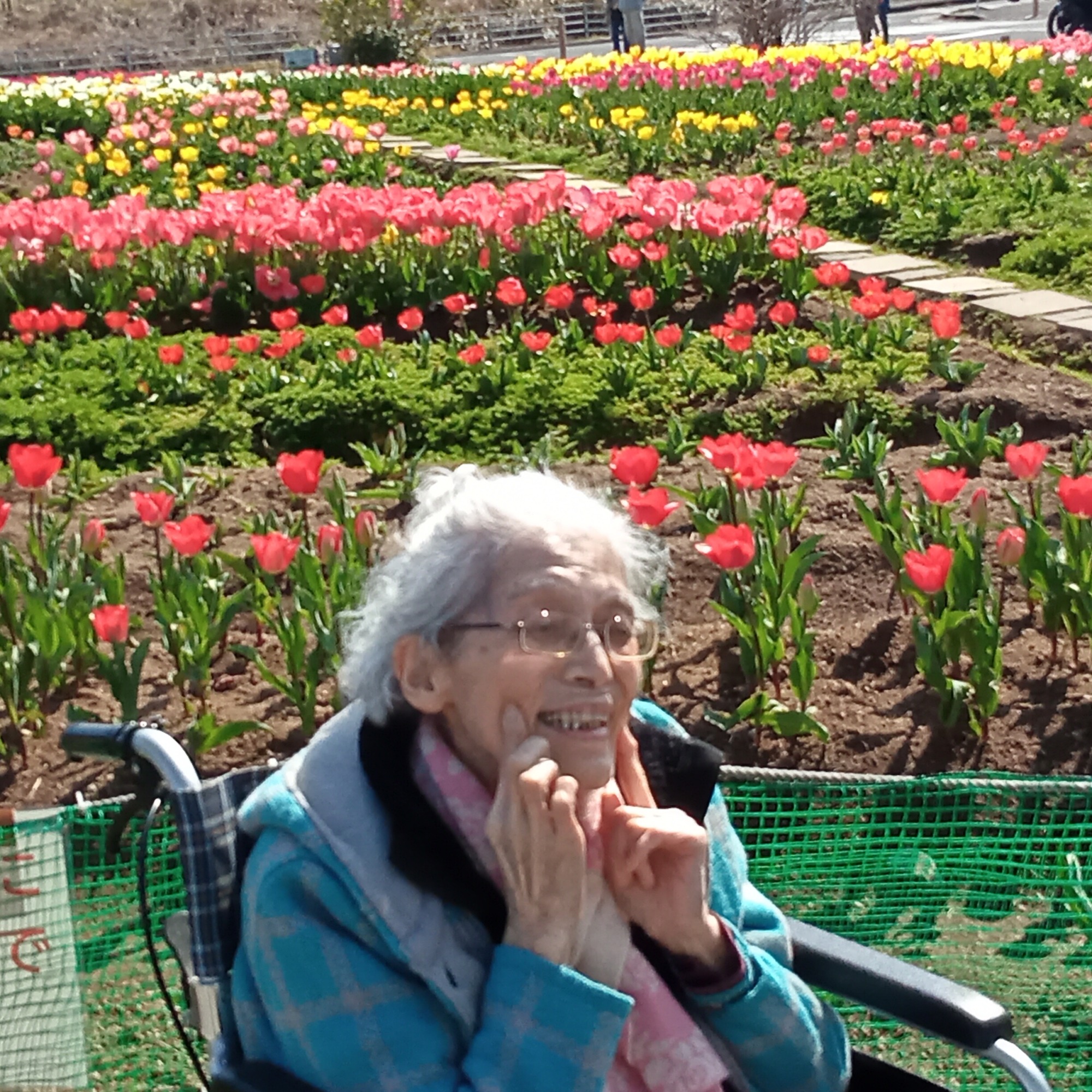 チューリップ祭り2