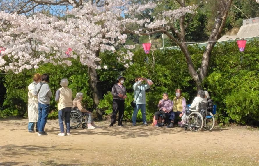 桜見学3