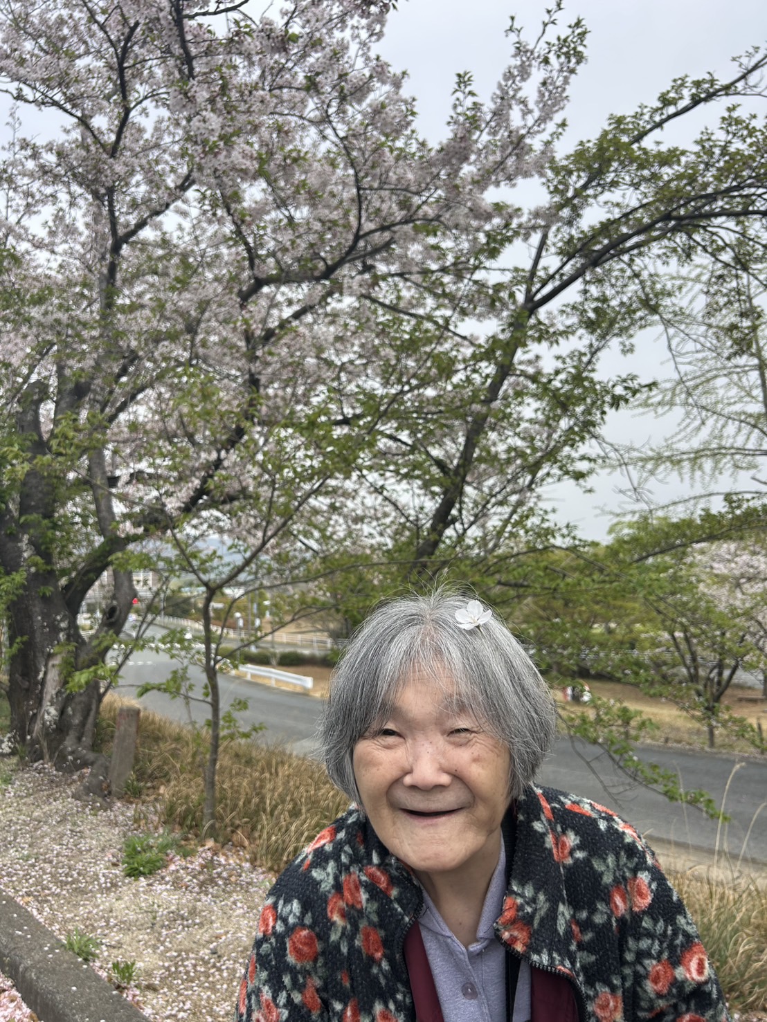 笑顔で桜と写る女性高齢者