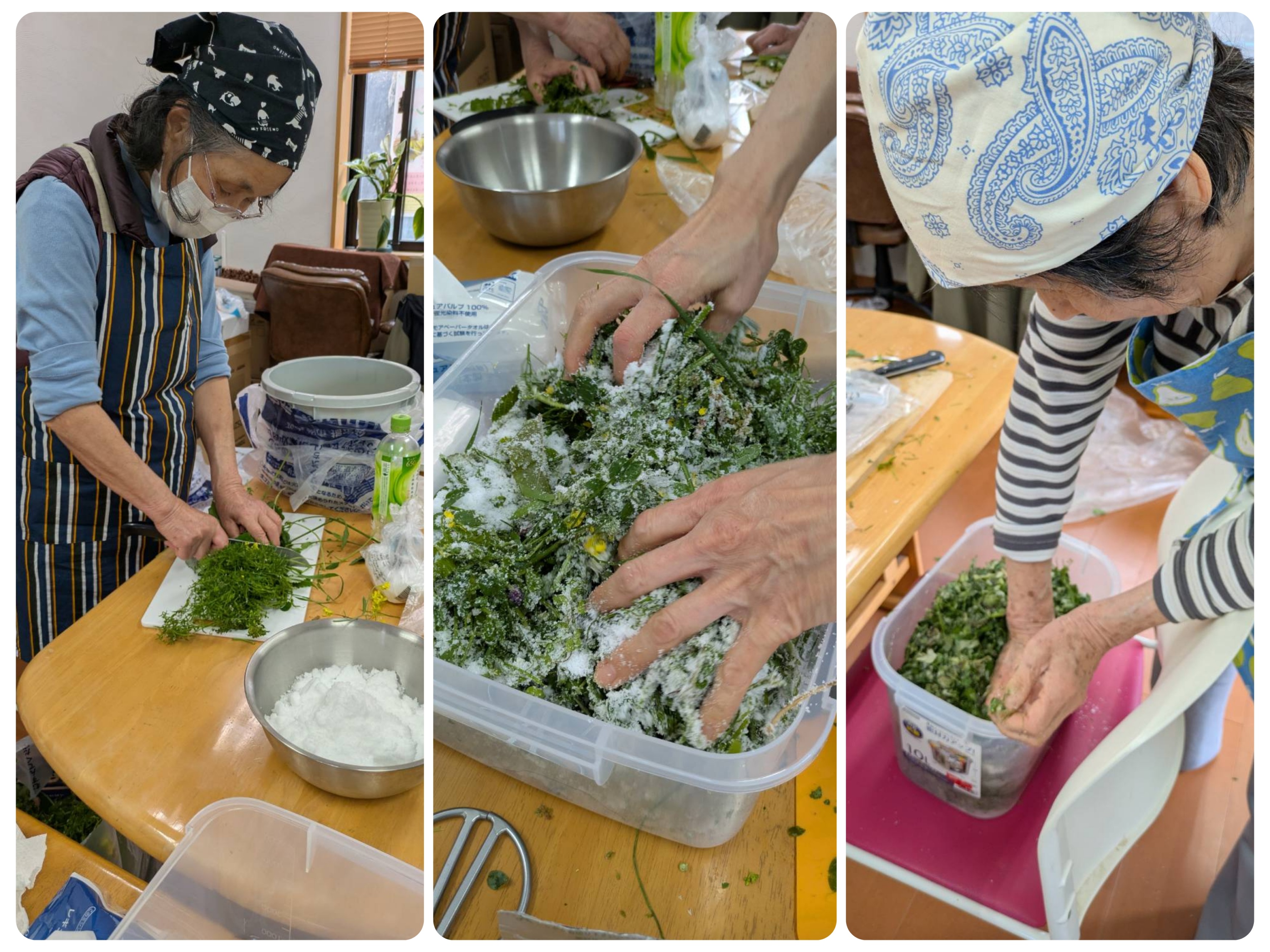 野草を刻んで砂糖を加え混ぜ合わせているところ