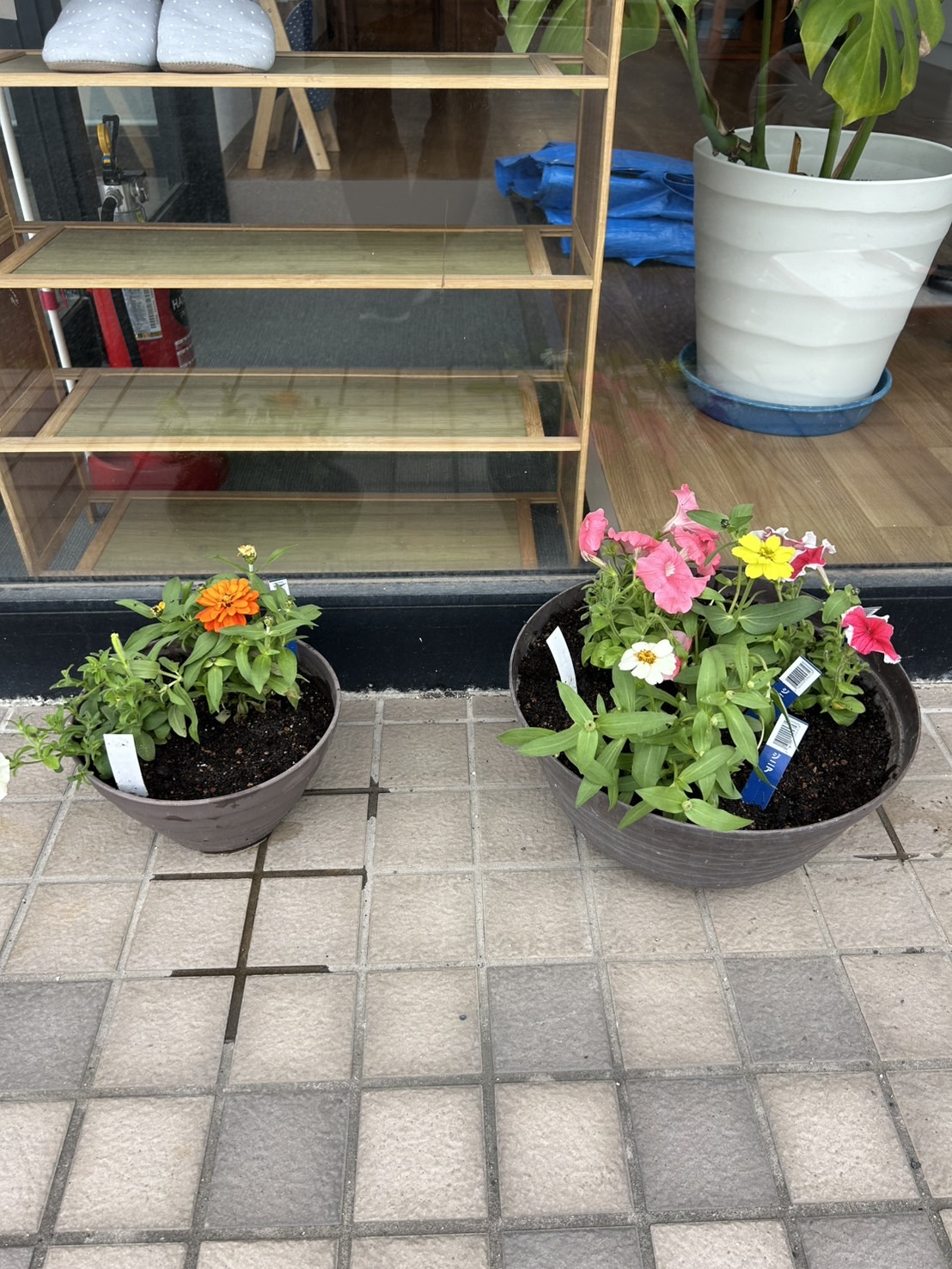 花植えの完成の写真