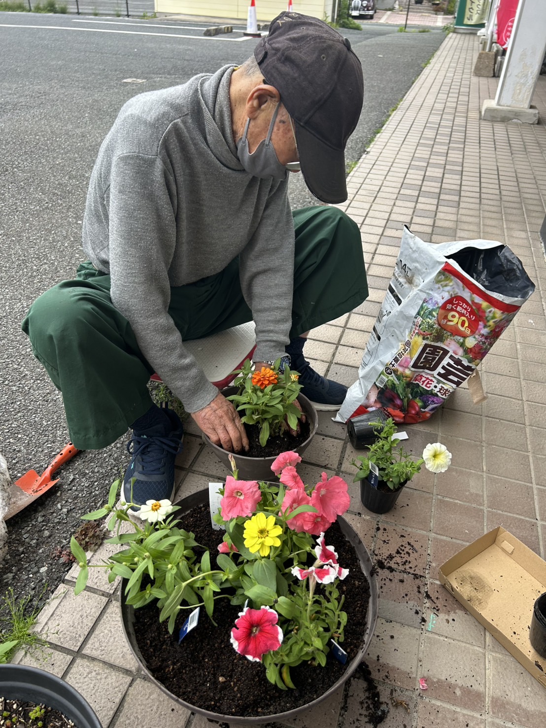 花植えをする男性高齢者
