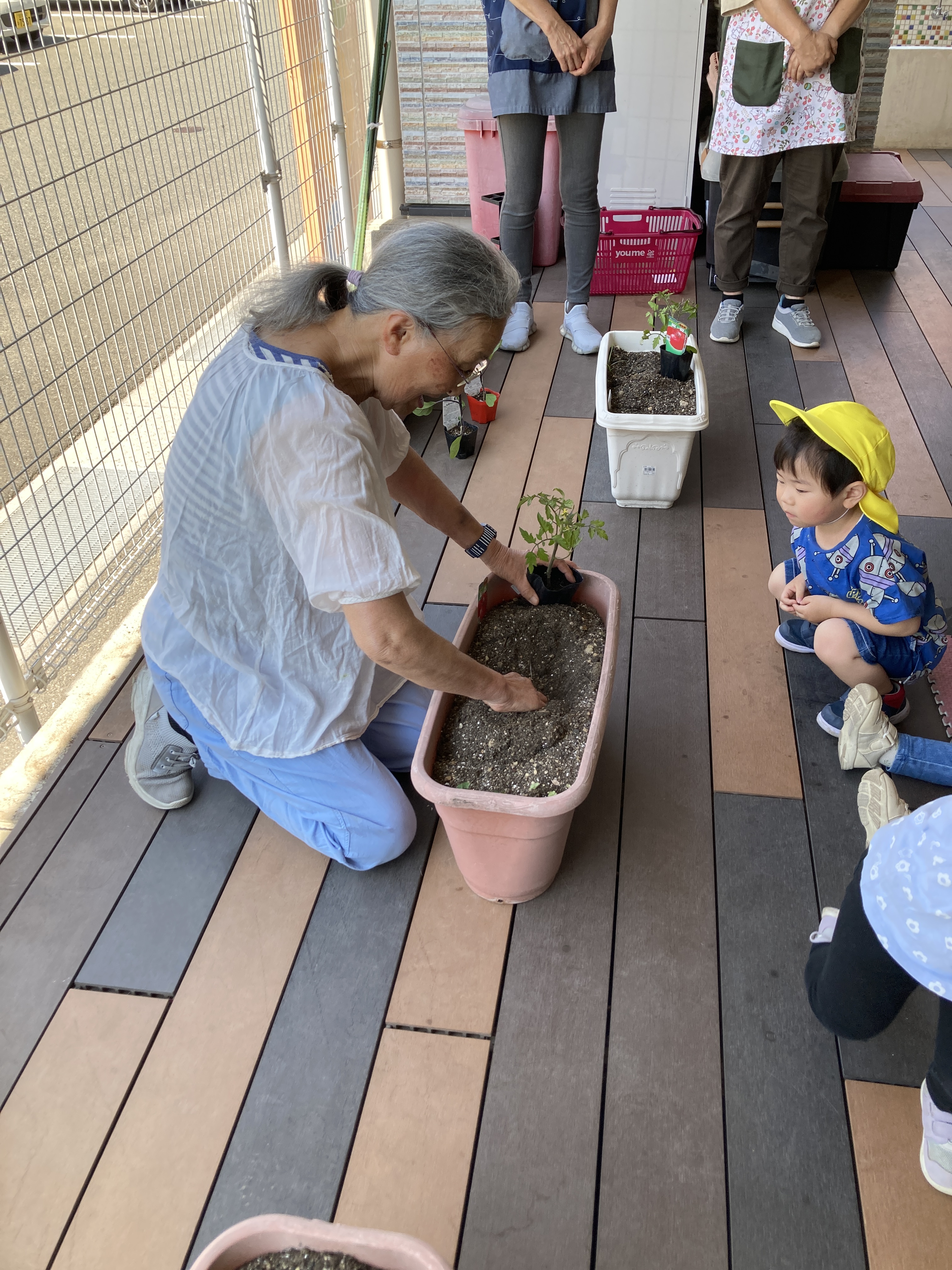 夏野菜の苗植え14枚