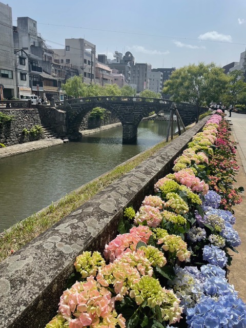 川沿いのあじさい