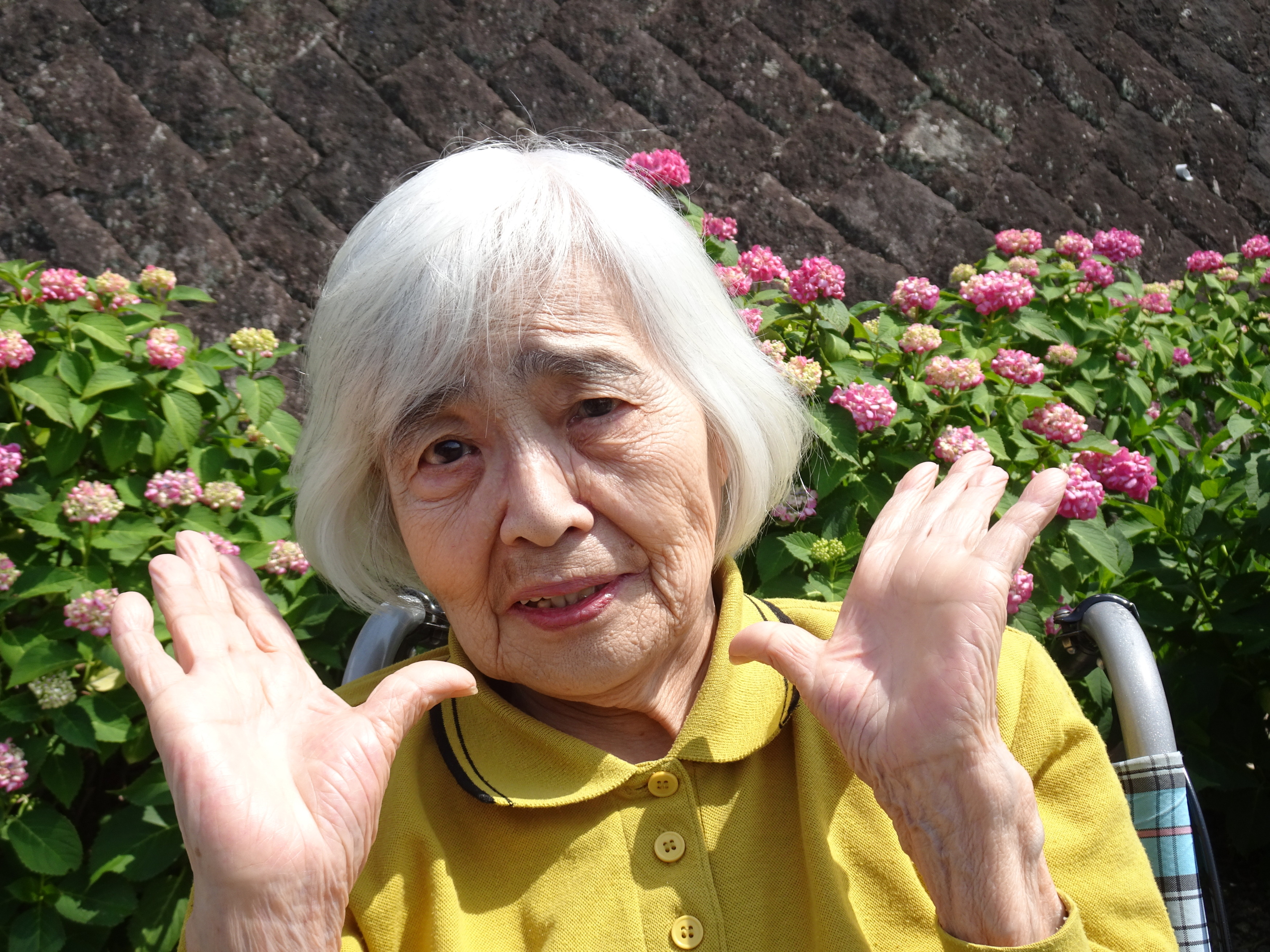 あじさいの前でポーズをとる利用者さん