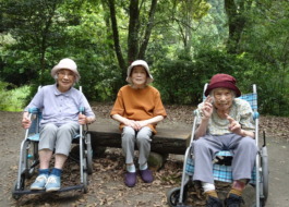 中ノ島公園内の島を散歩中に撮った写真